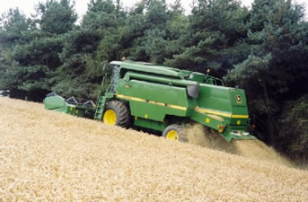 Wheat harvest at Horseley
