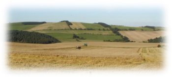 View of harvest at Horseley